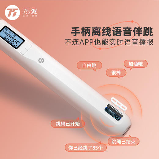 75派跳绳T40L智能计数手柄语音报数成人健身运动燃脂学生中考训练 商品图2