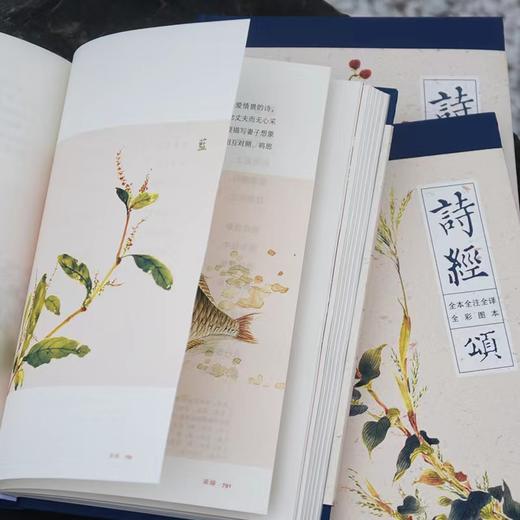 《诗经》插图版函套3册，全诗+全注+全译+赏析+诗经名画，一次性读懂诗经之美。 商品图3