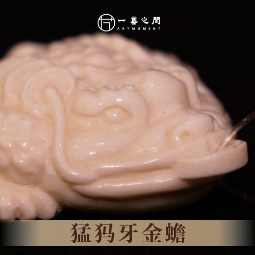 猛犸牙金蟾《招财进宝》 4cm*3cm 非物质文化遗产【一艺之间推荐】 商品图2