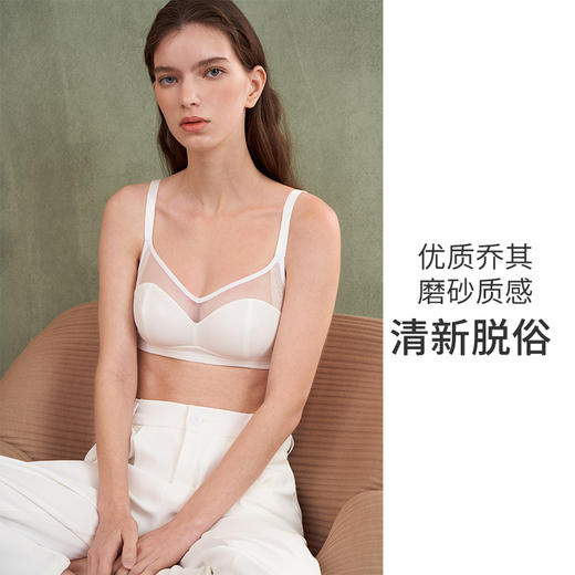 HSIA遐无钢圈内衣女轻薄全罩杯大胸承托优质乔其复古拼接光面文胸 商品图4
