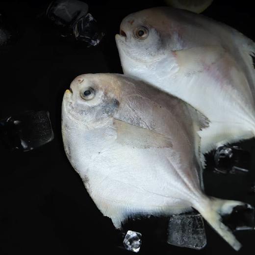 香辣金鲳鱼 商品图2