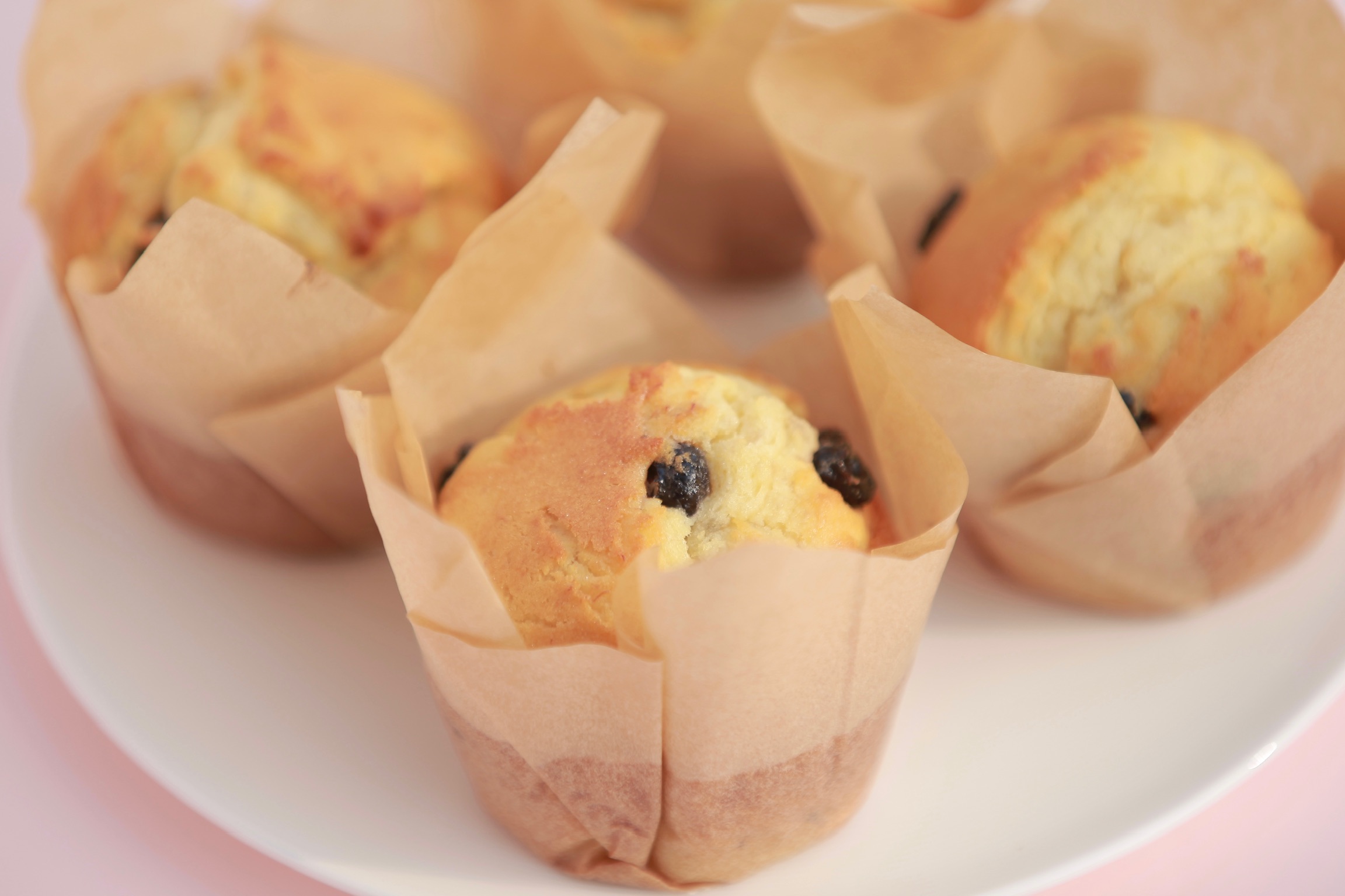 蓝莓香蕉马芬MUFFINS BANANE MYRTLLES