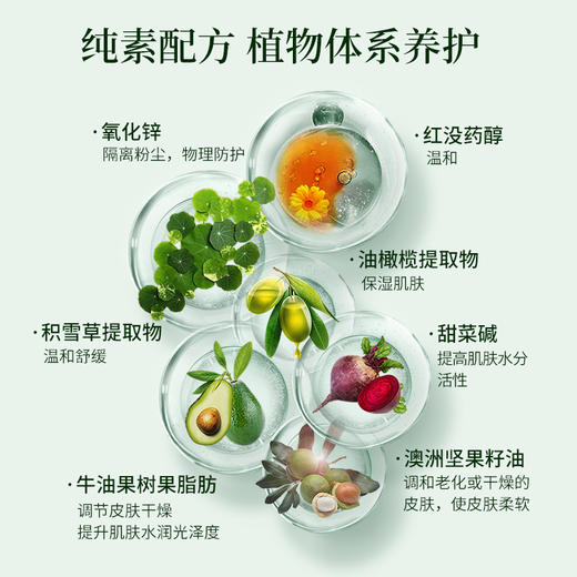 植物清透隔离霜 纯物理清爽防晒 全身通用纯素无动物 商品图3