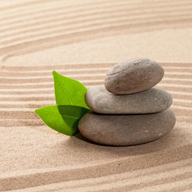 浸悟身心共养之旅