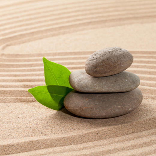 浸悟身心共养之旅 商品图0