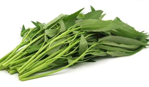 空心菜1斤 商品图0