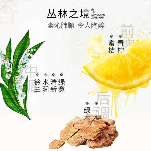 宋朝 挂饰车载香薰汽车香氛挂件持久淡香清新 商品图2