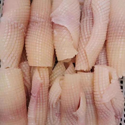 鱿鱼490g-510g 商品图1