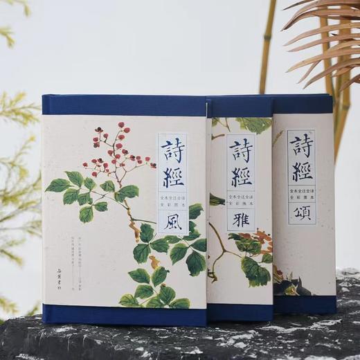 《诗经》插图版函套3册，全诗+全注+全译+赏析+诗经名画，一次性读懂诗经之美。 商品图1