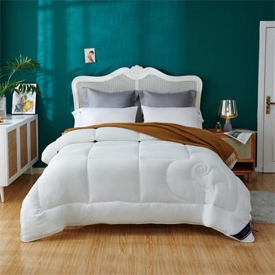 恒源祥舒适羊毛被-51%羊毛系列12HKL-MJ0011-2.5 商品图0