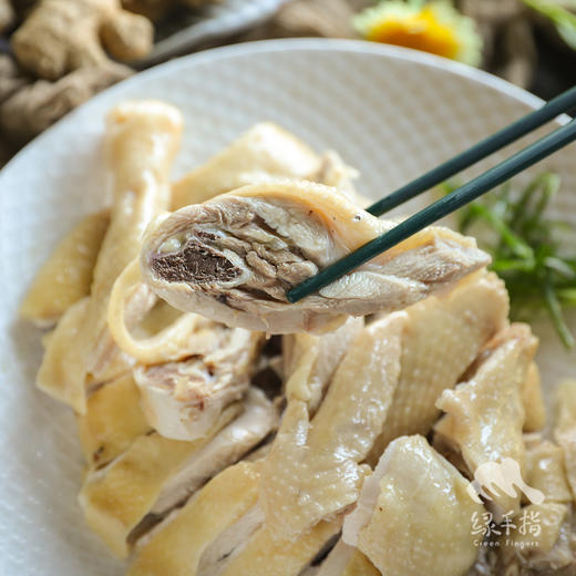 生态清远鸡阉鸡 | 绿家自产* Eco-Chicken | Self-production 商品图4