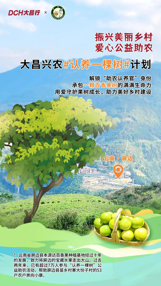 #果树认养官-屏边黄金百香果 (66颗) 商品图0