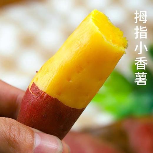 临安天目山小香薯粉香甜糯小个头的“甜心战士”下架 商品图3