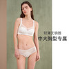 HSIA遐无钢圈内衣女轻薄全罩杯大胸承托优质乔其复古拼接光面文胸 商品缩略图1