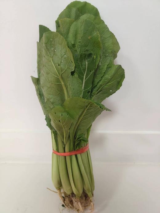 鸡毛菜 商品图0