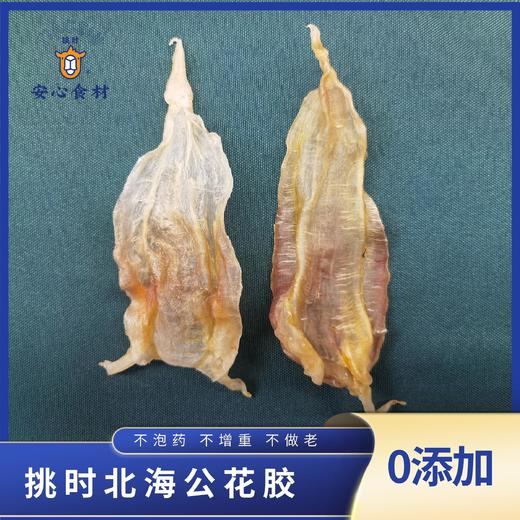 【北海公鱼胶】挑时手工鱼胶 商品图0