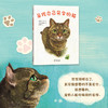 寻找自己名字的猫  日本绘本4冠王 斩获多项绘本大奖  暖心治愈的心灵启示 商品缩略图2