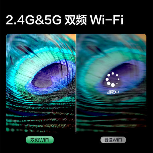 【TCL雷鸟】TCL雷鸟65雀5 65英寸 2+32GB 双频Wi-Fi 4K超高清电视 65F275C（咨询客服送优惠大礼包） 商品图5