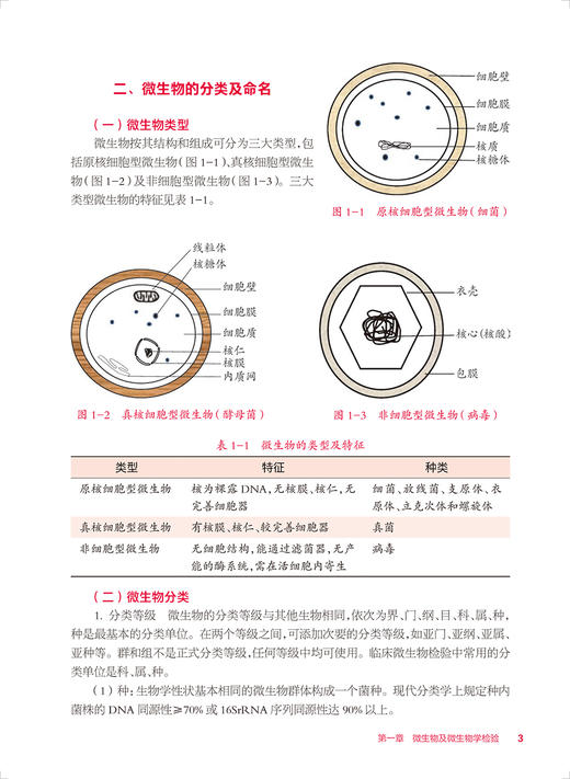 微生物检验技术 第4版 十四五规划教材 全国中等卫生职业教育教材 供医学检验技术专业用 崔艳丽主编 人民卫生出版社9787117343879 商品图3