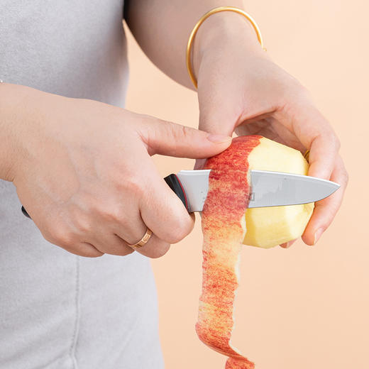 Debo德铂迪克森厨房刀具套装优质不锈钢家用菜刀切片刀砍骨刀亚克力刀座 商品图5