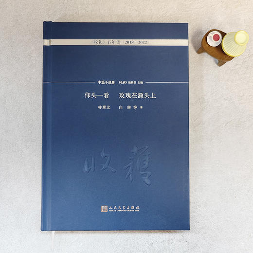 仰头一看 玫瑰在额头上·中篇小说卷（《收获》五年集 2018—2022） 商品图1