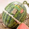 甘美西瓜 约1.9kg/个 商品缩略图1