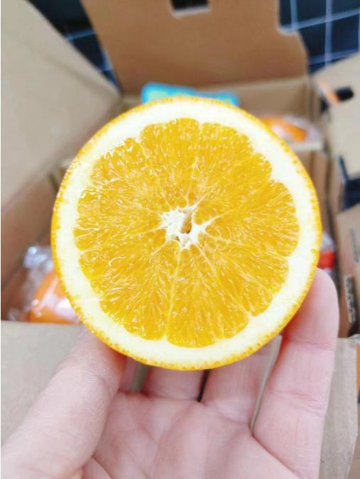 苏氏农家橙一箱（拼团） 商品图4