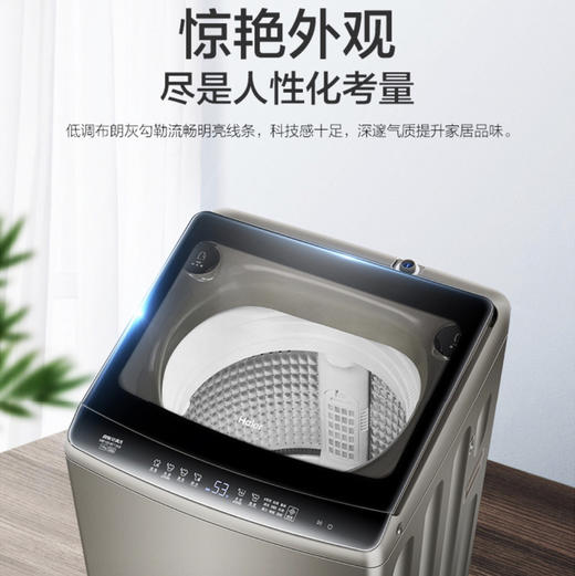海尔（Haier）洗衣机MB100-BF136S 商品图2