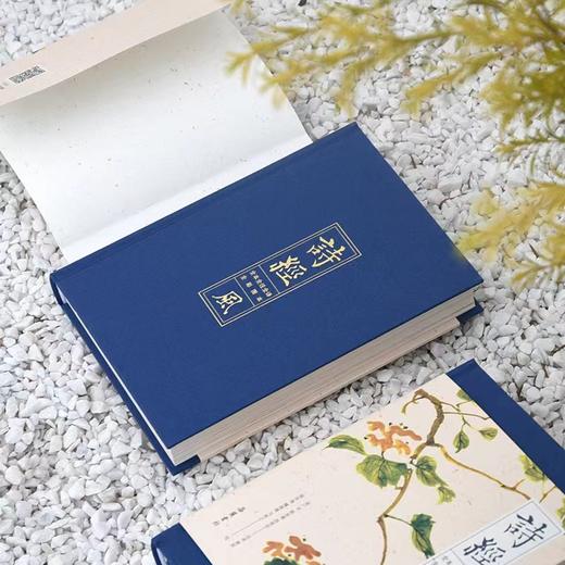 《诗经》插图版函套3册，全诗+全注+全译+赏析+诗经名画，一次性读懂诗经之美。 商品图4