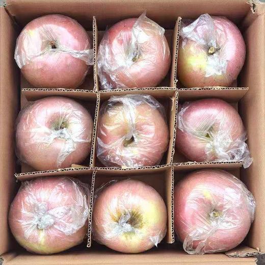 山西运城红富士苹果-农夫自己都在吃的果园直销冰糖心红富士爆甜新鲜苹果带箱9.5-10斤装 商品图1