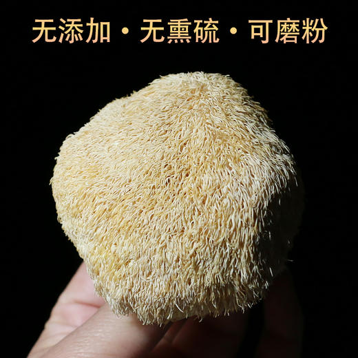 【吉顺号食品】-吉顺号猴头菇 特产深山猴头菌菇猴头蘑干货200g 商品图2