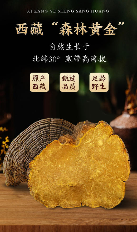 添合泰桑黄 商品图1