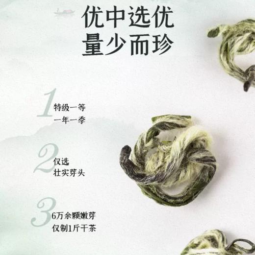 （预计上市时间3月下旬）2024中茶绿茶春茶明前非遗洞庭山碧螺春茶叶礼盒80g 商品图3