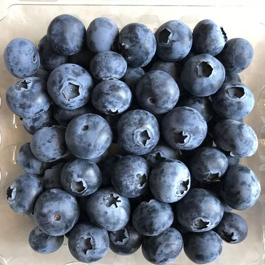 怡颗莓蓝莓125g/盒 商品图1