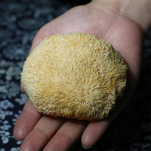 【吉顺号食品】-吉顺号猴头菇 特产深山猴头菌菇猴头蘑干货200g 商品图1