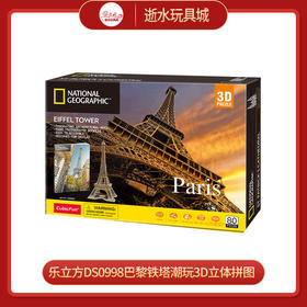 乐立方DS0998巴黎铁塔
