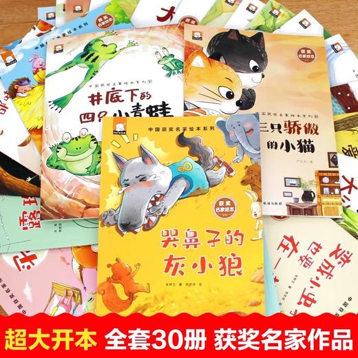 中国获奖名家绘本系列 商品图2