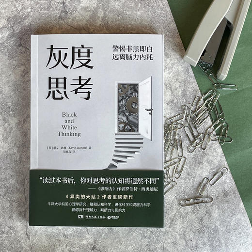 灰度思考 商品图2