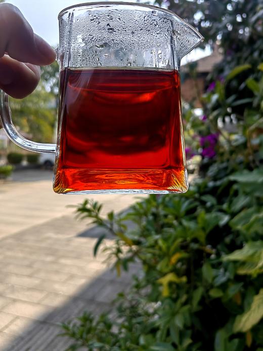 12月21日中午12点掌柜私藏【十三年陈老熟茶】布朗古树正宗勐海原料勐海老窖池发酵古树茶原料2010年原料给某益供货留存的原料250克/砖 商品图5