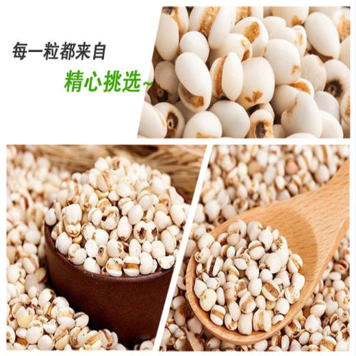 有机薏仁米 370g*3袋 商品图3
