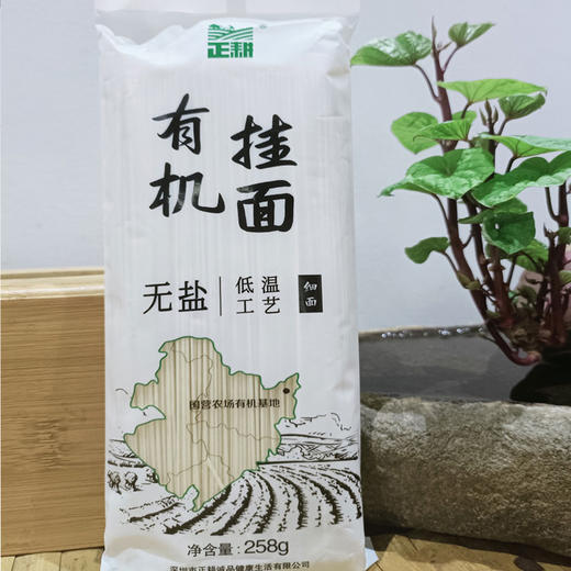 有机无盐挂面258g（细）*6袋 商品图3