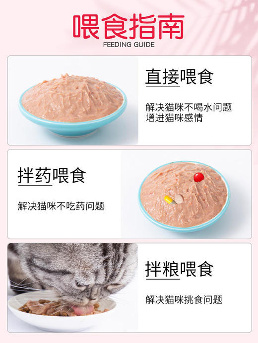 地狱厨房咕噜酱 4包装 猫咪零食猫条肉泥湿粮包 商品图2