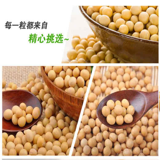 有机黄豆 350g*3袋 商品图4