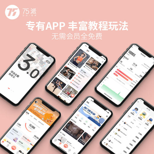 NK运动S20智能计数跳绳蓝牙电子健身运动燃脂减肥 一绳两用可拆卸 商品图4