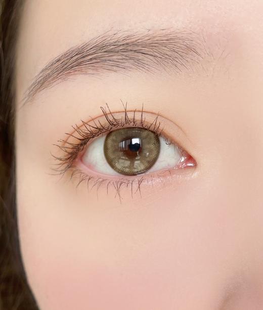 Leenscolor品牌-小茶棕 商品图4