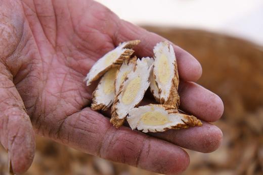 太行山野生 十年潞党参 特级原条装 切片罐装 补脾养，润肺生津 商品图0