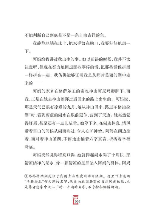 冬格措拉的孩子 商品图5