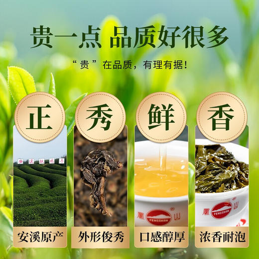 凤山 FS986 铁观音 浓香型炭焙 罐装500g 商品图6
