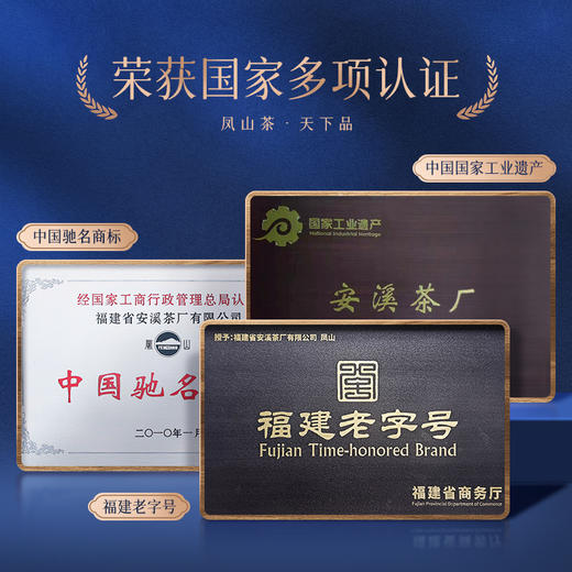 凤山 FS009铁观音 浓香型 炭焙熟茶 罐装250g 商品图6