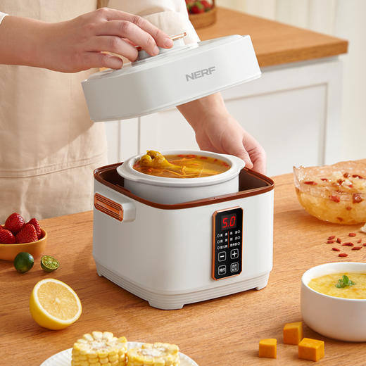 拉尔弗电炖盅BE-D820 商品图1